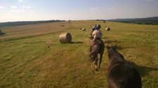 Poland-Highlands-Bieszczady Mountains Ride